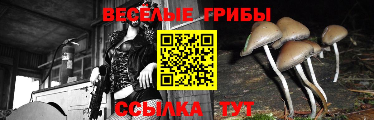 Псилоцибиновые грибы MAGIC MUSHROOMS Ухта